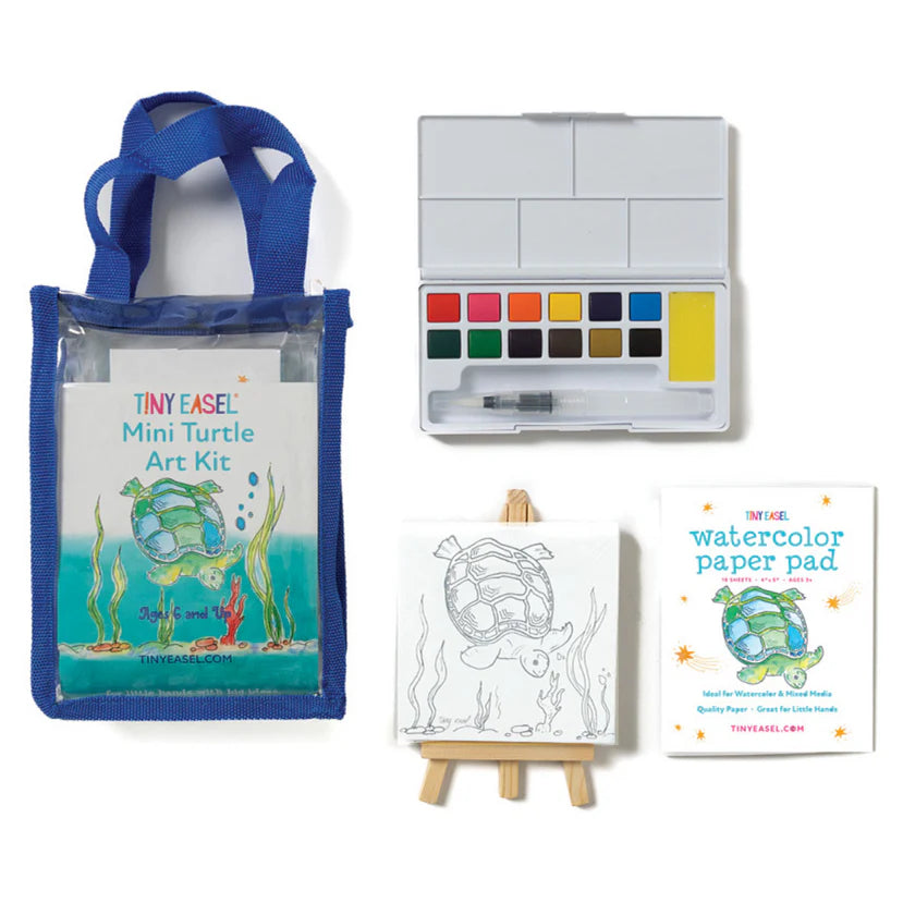 Mini Sea Turtle Art Kit