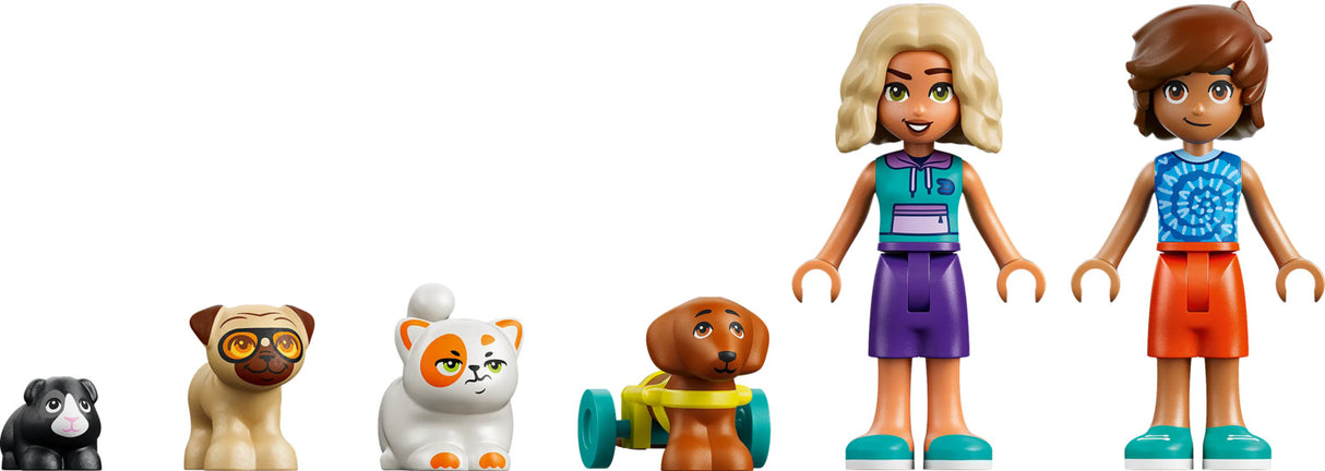 LEGO® Friends Fun Water Park Day