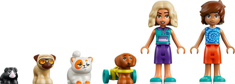 LEGO® Friends Fun Water Park Day