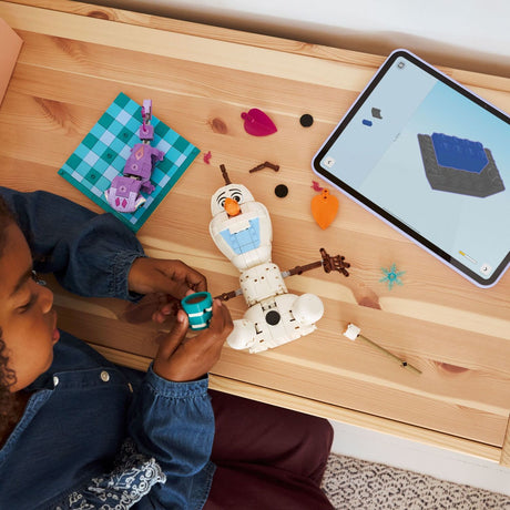 LEGO Disney Princess: Olaf and Bruni's Picnic Fun