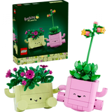 Botanicals Rocking Plants