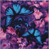 CA Kit (Medium) - Blue Violet Butterflies
