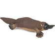 Platypus