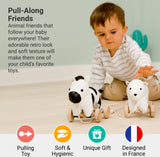 Pull Along Friends - Robert the Zebra