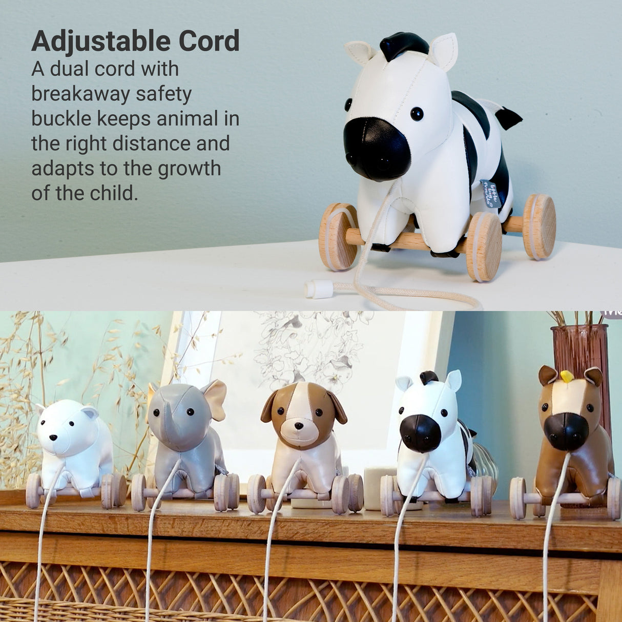 Pull Along Friends - Robert the Zebra