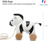 Pull Along Friends - Robert the Zebra