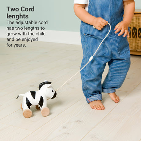 Pull Along Friends - Robert the Zebra