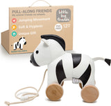 Pull Along Friends - Robert the Zebra
