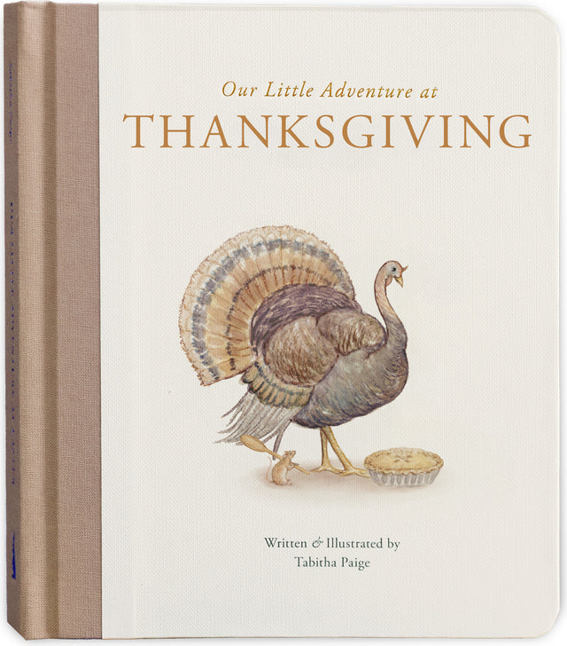 Our Little Adventure at Thanksgiving: Featuring Foundational Language Concepts and Lessons on Gratitude