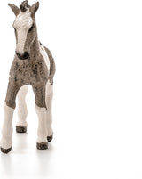 Tinker Foal