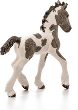Tinker Foal