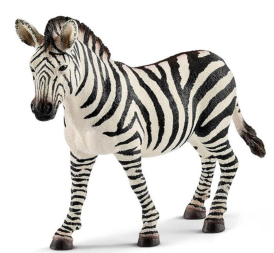 Zebra Female