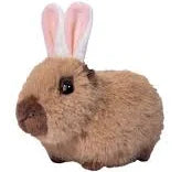 Cappie Capybara with Bunny Ears