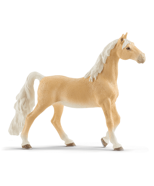 American Saddlebreed Mare