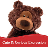 Forever Friends: Philbin, 18-Inch