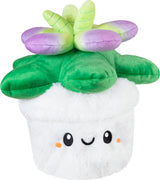 Mini Squishable Succulent (7")