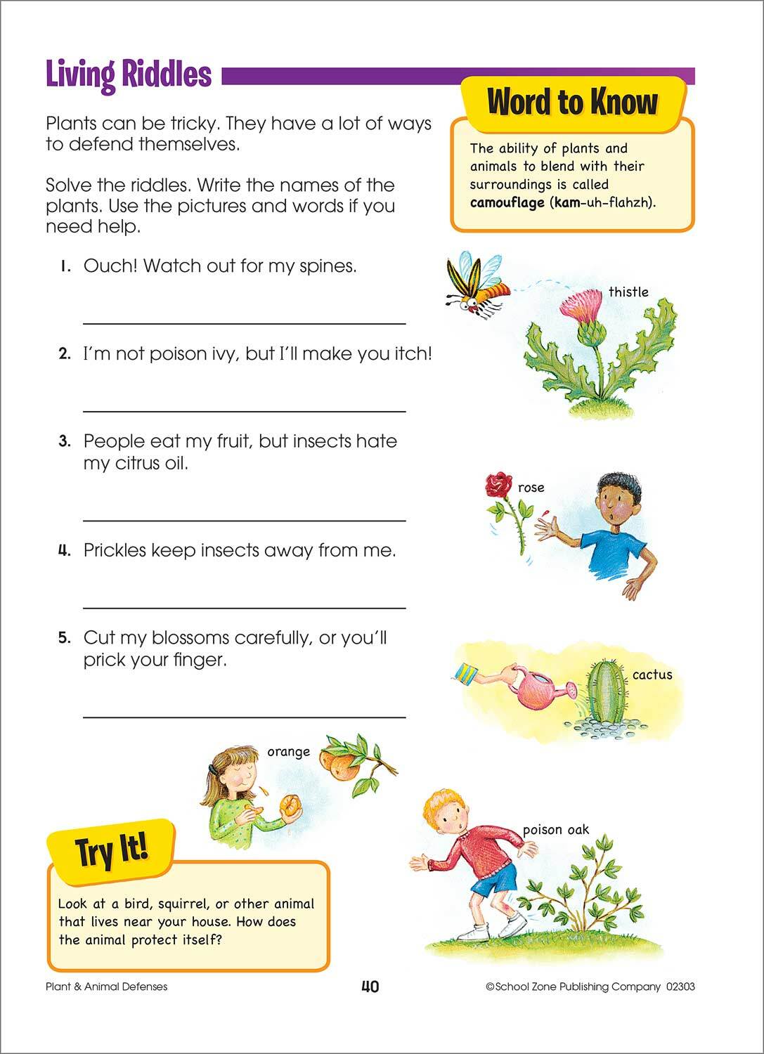 Second Grade Scholar Ages 7-8