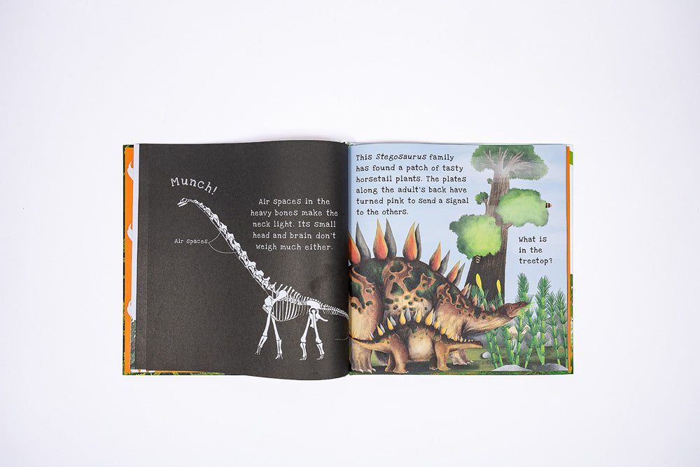 Dinosaurs A Shine-A-Light Book