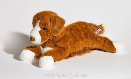 Rush Duck Tolling Retriever