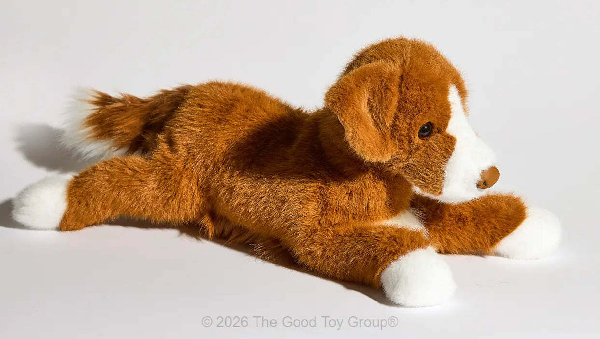 Rush Duck Tolling Retriever