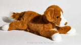 Rush Duck Tolling Retriever