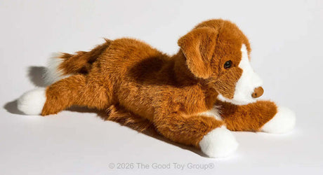 Rush Duck Tolling Retriever