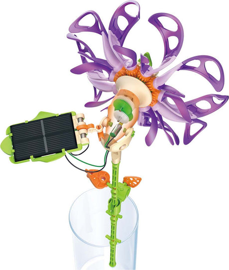 SolarFlower: 2 styles