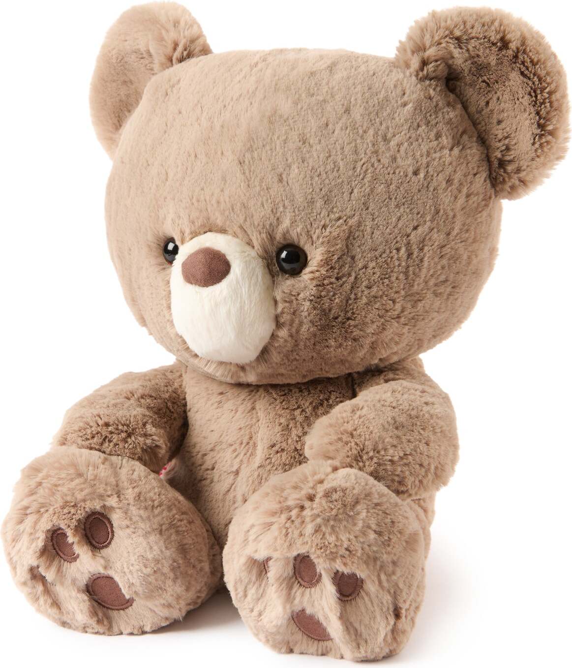 GUND Forever Friends Promise: Kai Bear