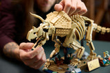 JURASSIC WORLD Dinosaur Fossils Triceratops