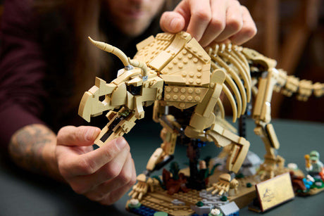JURASSIC WORLD Dinosaur Fossils Triceratops