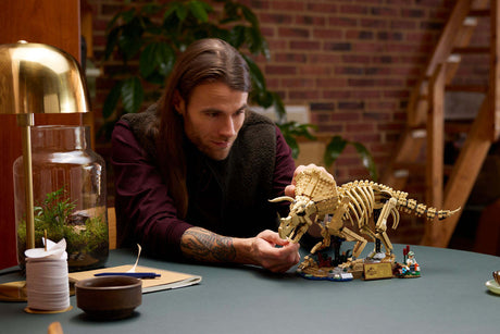 JURASSIC WORLD Dinosaur Fossils Triceratops