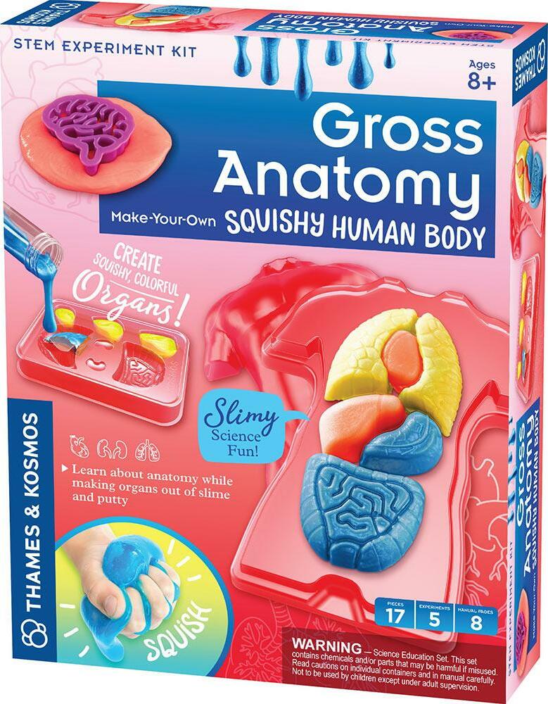 Gross Anatomy: Make-your-own Squishy Human Body - Toy Box Michigan
