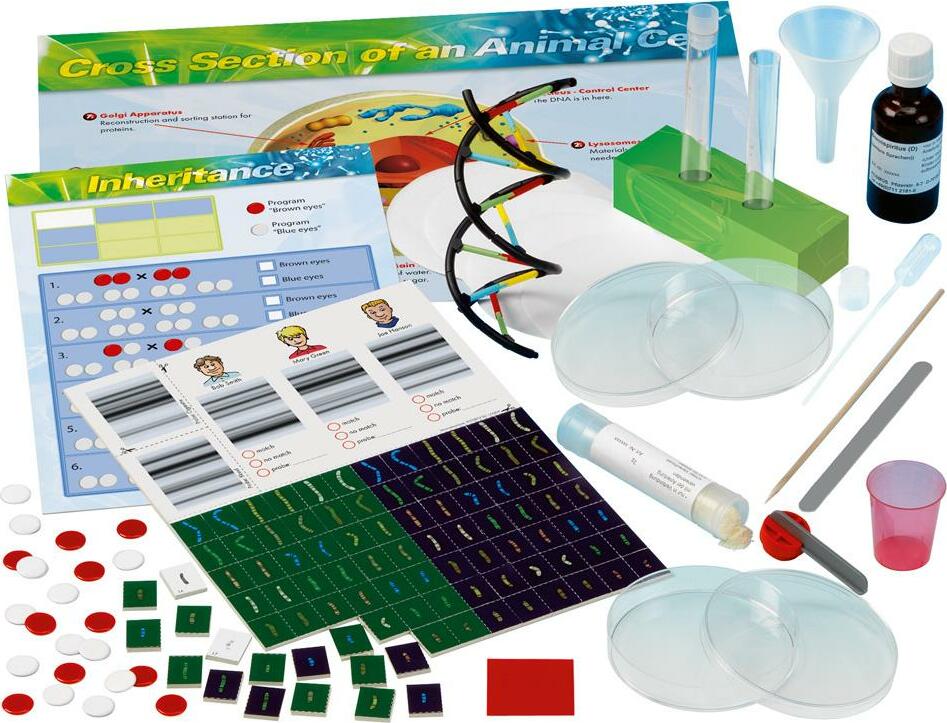 Empty Genetic Box Genetics Dna Lab - Toy Box Michigan