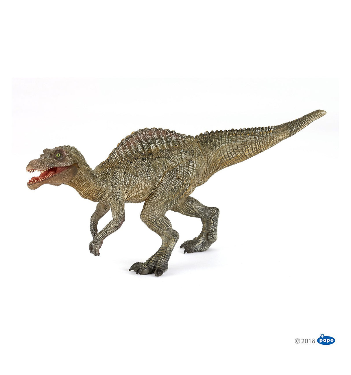 Young Spinosaurus