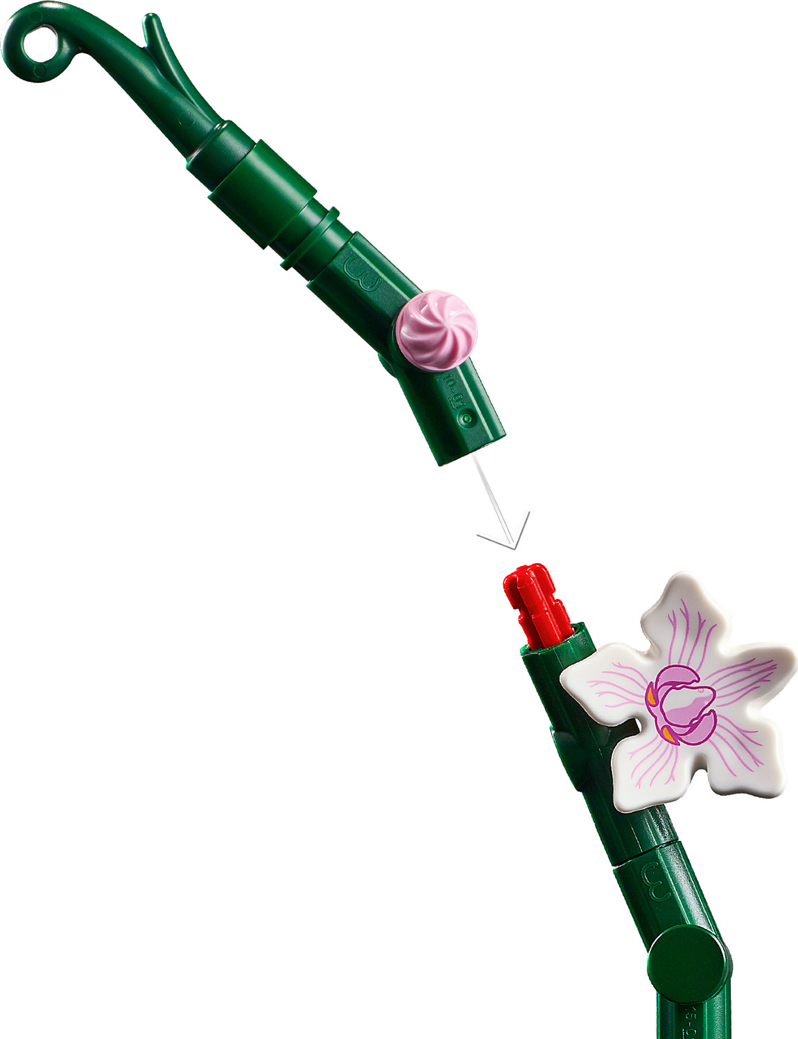 LEGO 10311: Icone LEGO® - Orchidea da reichelt elektronik
