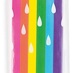 Jumbo Rainbow Scented Erasers - Display of 15