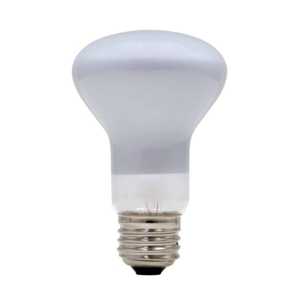 100w Light Bulb