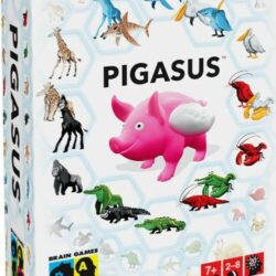 Pigasus