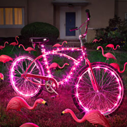 Wheelbrightz Cosmicbrightz Bundle Pack Pink