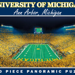 Michigan Wolverines NCAA 1000pc Panoramic Puzzle - End Zone