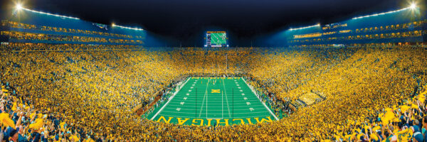 Michigan Wolverines NCAA 1000pc Panoramic Puzzle - End Zone