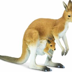 Kangaroo with Joey Toy