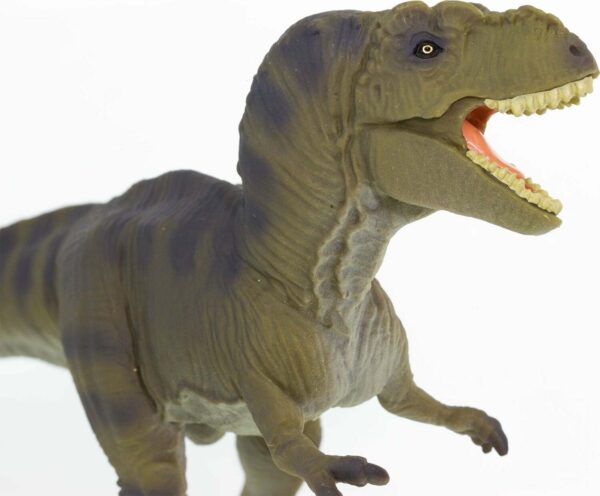 Tyrannosaurus Rex Toy Figure