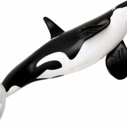 Type D Orca Toy Figure