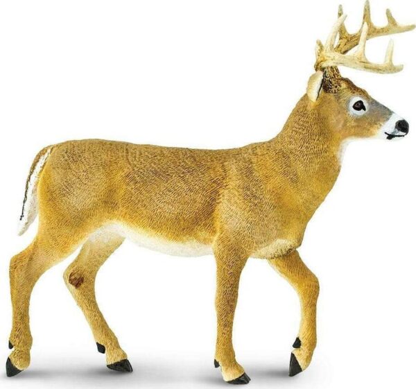 Whitetail Buck Toy