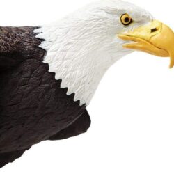 Bald Eagle Toy