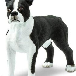 Boston Terrier Toy