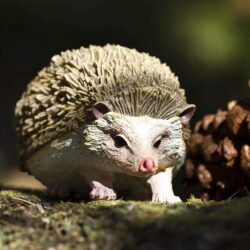 Hedgehog Toy