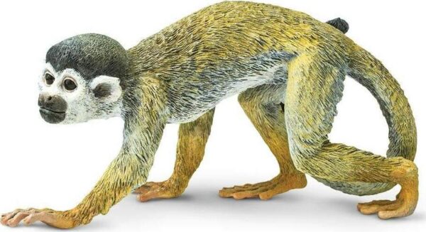 Squirrel Monkey Toy