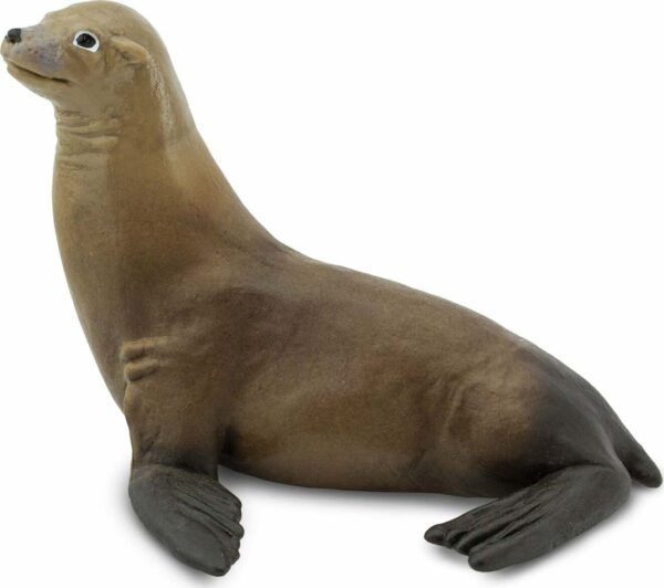 Sea Lion